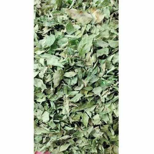 curry-leaves-26 (1)-1280262-56161.jpg